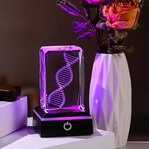 Movdyka 3D Crystal DNA Model with Color-Changing LED Base - Unique Science Gift for Teachers, Biology Lovers | Science Classroom Decor, Lab Decor & LED Art thumbnail 5