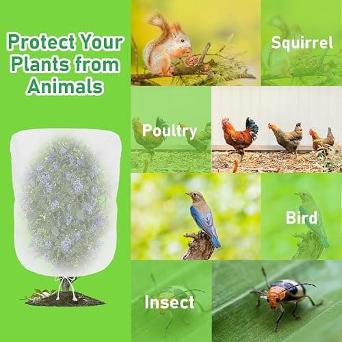 Evoio Bird Netting for Garden Blueberry Bushes Fruit Tree Netting Cover Plant Protection Mesh Bags with Drawstring, 4 Pack 2.3 x 3.5 ft Shrubs Bush Tomato Strawberry Berry Barrier Protectors Net thumbnail 3