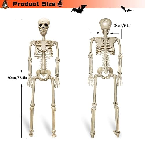 2 Pack 36"Halloween Skeleton - 3 ft Life Size Human Skeleton with Full Body Posable Joints Plastic Skeleton for Halloween Skeletons Decor Yard Patio Lawn Garden Skeleton Props Spooky Party Decoration thumbnail 3