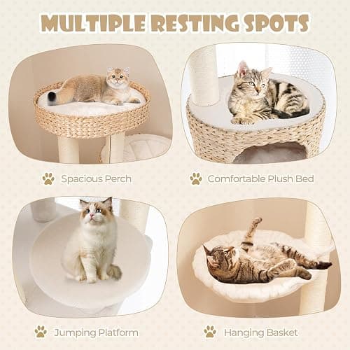 PETSITE 50 inch Cattail Cat Tree Tower, Multi-Level Cat Tower with Sisal Scratching Posts, Cat Condo, Cat Basket, Ladder, and Top Perch with Removable Soft Cushion, Modern Cat Tree for Indoor Cats thumbnail 5