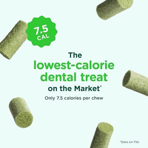 Minties FreshBites Soft and Chewy Dental Treats for Dogs, Low Calorie Natural Mint Flavored Dental Chews for Dogs, 50 Count, Chews Clean Teeth, Fight Bad Breath, and Removes Plaque and Tartar thumbnail 3