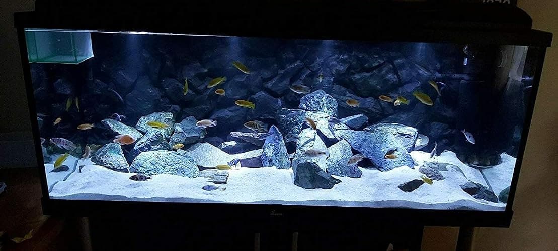 TM Aquatix Aquarium Sand Natural Substrate For All Types Fish Tanks (1kg, Snow White Dolomite) thumbnail 7