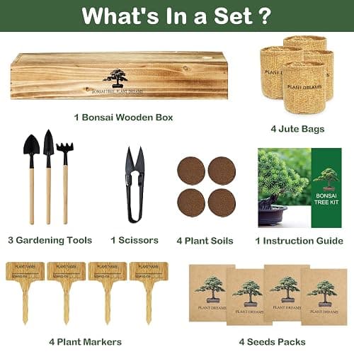 LUOJIBIE Bonsai Tree Kit, Complete Bonzai Tree Starter Kits with Tools, Unique Christmas Birthday DIY Gardening Gifts for Women Mom Men Grandkids, Crafts Hobby Kits, Grow Bonsai Tree Live Indoor thumbnail 2