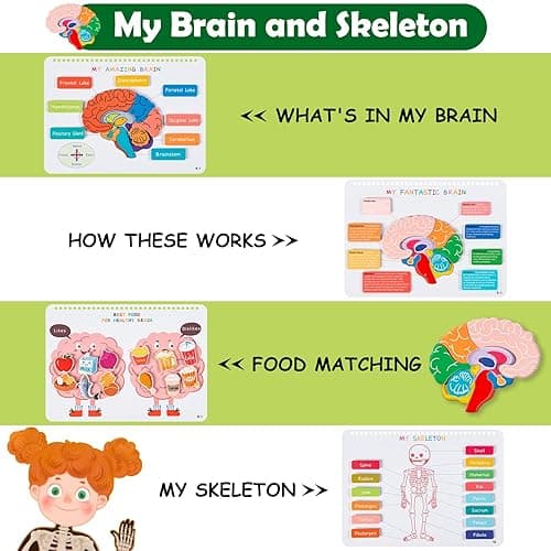 Freebear Montessori Busy Book for Kids, Human Body Anatomy Book for Toddlers, Preshool Kindergarten Learning Activities, Autism Sensory Toys, Travel Toys, Gifts for Girls and Boys 4 5 6 7 8 Years - Human structure 1 thumbnail 3