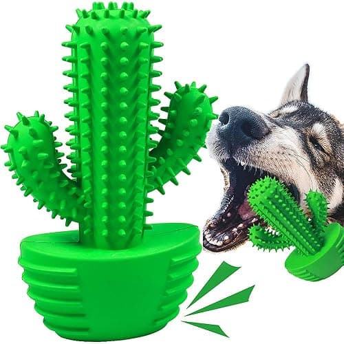 Pamlulu Dog Chew Toys Dog Toothbrush Stick Teeth Cleaning Brush Dental for Medium Large Dog, Puppy Christmas Easter Birthday Gifts, Outdoor Squeaky Toys for Aggressive Chewers Interactive Tough Toys - Image 1