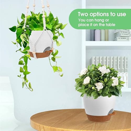 Vanslogreen Hanging Planters for Indoor Outdoor Plants, 2 Pack Self Watering Hanging Pots, Hanging Plant Baskets with Drainage Holes & 2 Types of Plant Hangers (White, 6'') thumbnail 5