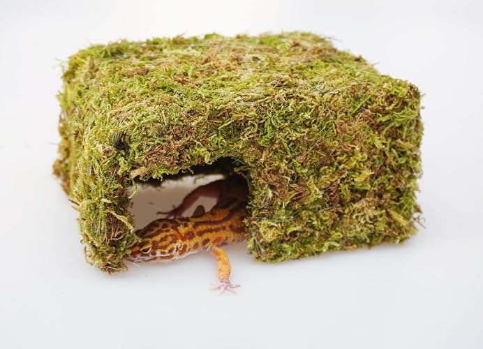 Jinymral Leopard Gecko Tank Accessories, Cute Reptile Hideout Cave, Essential Tank Terrarium Habitat Decor, Adjustable Toys Supplies thumbnail 2