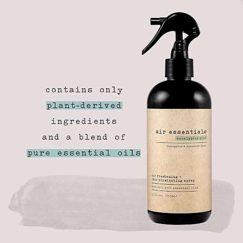 Air Essentials 12 oz Air Freshener & Odor Eliminator Spray - Neutralize Odors from Smoke, Pets, Food & Garbage in Homes, Offices & Cars - Made with Clean Essential Oils (Eucalyptus Mint, 2-Pack) thumbnail 2