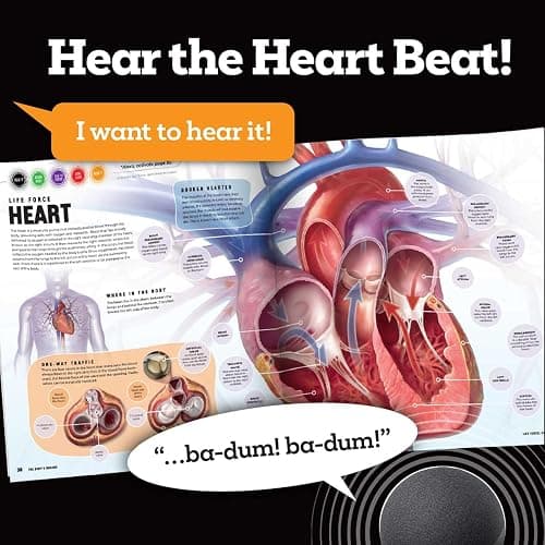 Discover: The Human Body (Ready Activated: A Readyland Alexa Interactive Book): Books You Can Talk to with Amazon Alexa and Echo by Readyland (Insiders) thumbnail 4