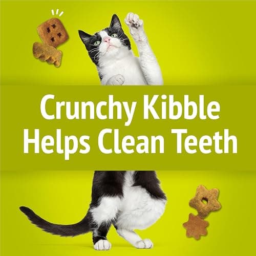 Purina Friskies Party Mix Morning Munch Crunch Egg, Bacon and Cheese Flavors Cat Treats - 30 oz Canister thumbnail 5