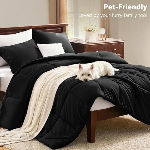 CozyLux Queen Comforter Set, 3-Piece Box-Stitched, Black | 270 GSM Down Alternative Fill, 90 GSM Brushed Microfiber Shell, OEKO-TEX Certified, 88 x 88 in Comforter with 2 Pillow Shams thumbnail 8