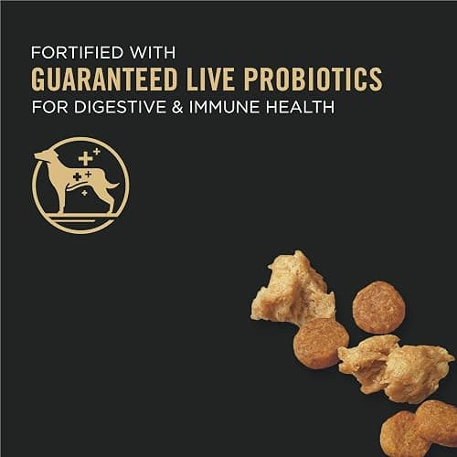 Purina Pro Plan High Protein Puppy Food Shredded Blend Chicken & Rice Formula - 6 lb. Bag thumbnail 2