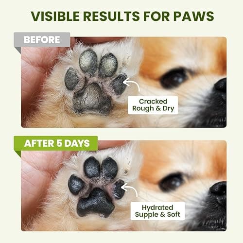 PawSono Lick-Safe Dog Paw & Nose Balm with Coconut Oil | All-Natural Moisturizer & Soother for Dry, Cracked Pads & Snout | Heat & Cold Pavement Protection Wax, Nose Butter for Bulldogs (2.1 oz / 60 g) thumbnail 3