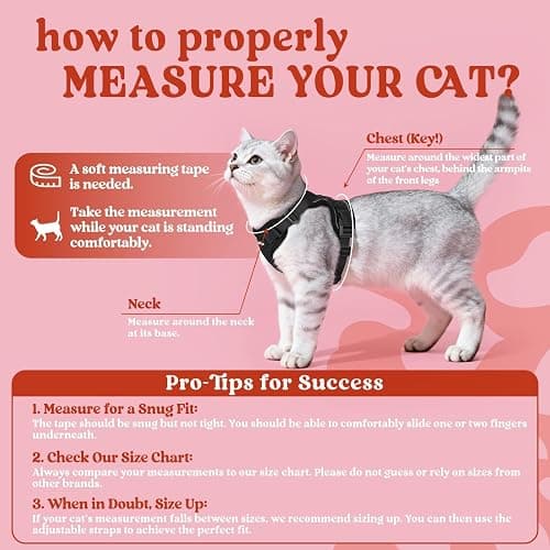 rabbitgoo Cat Harness and Leash for Walking, Escape Proof Soft Adjustable Vest Harnesses for Cats, Easy Control Breathable Reflective Strips Jacket, Black, S thumbnail 2