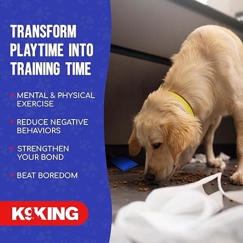 Interactive Dog Scent Training Kit Fun - Nose Work for Dogs, Hide and Seek Dog Toys, Enhance Dog Brain Games, Nose Scent work Games for All Ages Dog, Dog Scent Training Box, Scent Work Kit for Dogs thumbnail 9
