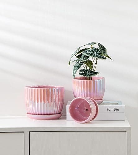 Ton Sin Pink Gold Ceramic Flower Pots, 4"+5"+6" Inch Small Glazed Succulent Planters with Drainage Hole,Modern Indoor Decorative Plant Pots Set of 3,Garden Pots with Saucer thumbnail 7