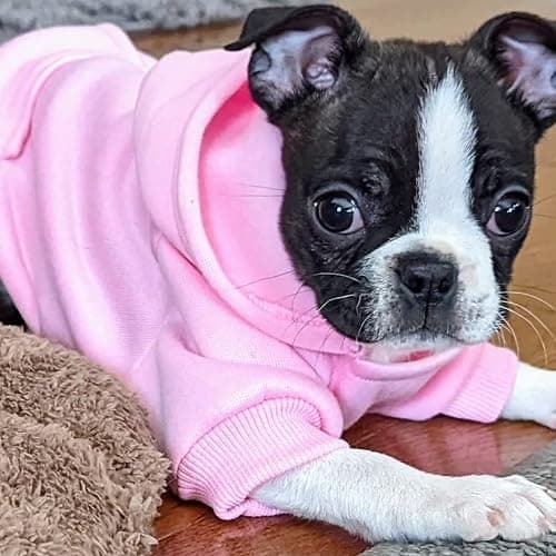 Jecikelon Winter Dog Hoodie Sweatshirts with Pockets Warm Dog Clothes for Small Dogs Chihuahua Coat Clothing Puppy Cat Custume (Pink, Medium) thumbnail 2