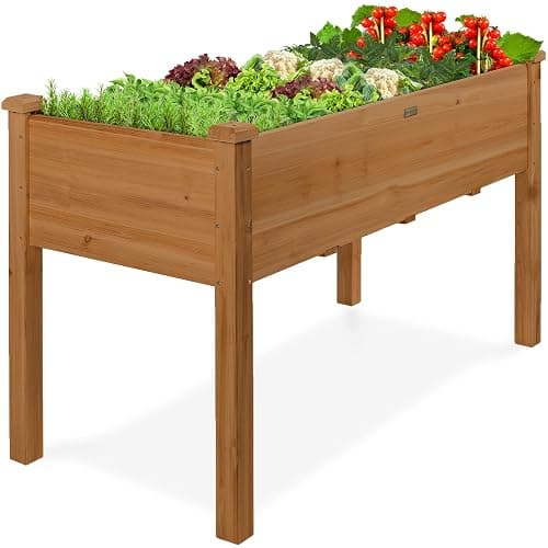 plant box ! - Image 1