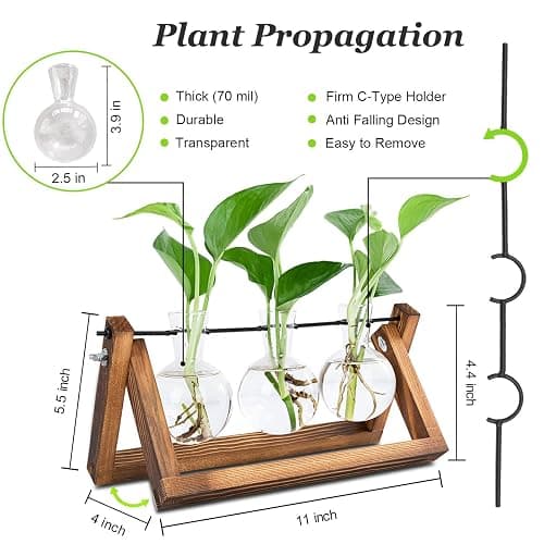 Propagation Station thumbnail 2