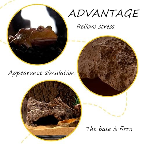 Anxingo Reptile Rock Reptile Cave Hideout for Snakes/Geckos/Lizards/Turtles and Other Amphibians, with Dinosaur Skull (Small) thumbnail 5