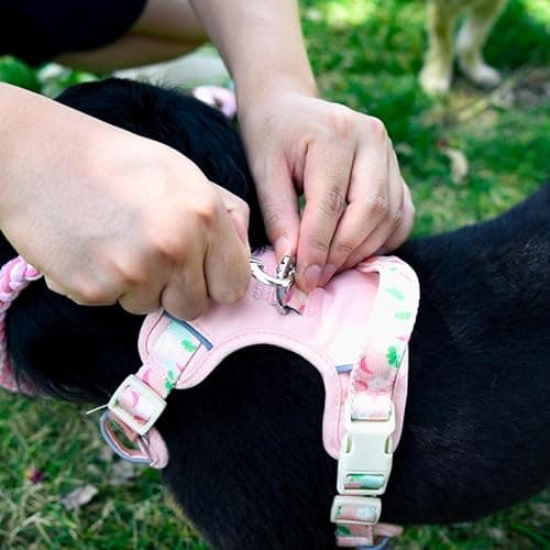 Handmade Braided Pink Cotton Dog Leash, 5ft | 5ft Handmade Braided Cotton Dog Leash, Pink Color, Floral Handle, Soft Grip, Durable for Daily Walks, Small to Large Dogs thumbnail 6