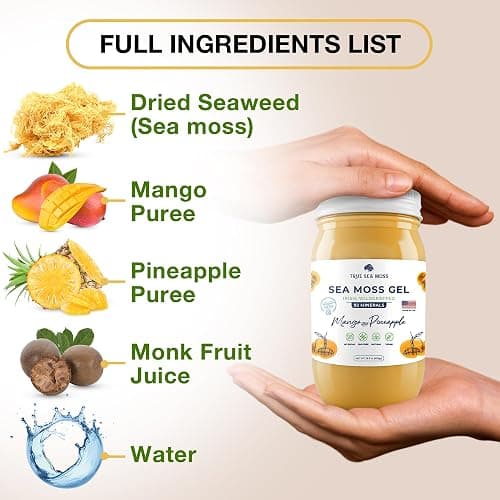 TrueSeaMoss Wildcrafted Irish Sea Moss Gel –7 Flavors- Nutritious Raw Seamoss Rich in Minerals, Proteins & Vitamins – Antioxidant Health Sea Moss, Vegan Made in USA (MANGO/PINEAPPLE, 1) - MANGO/PINEAPPLE - 16 Fl Oz (Pack of 1) thumbnail 2