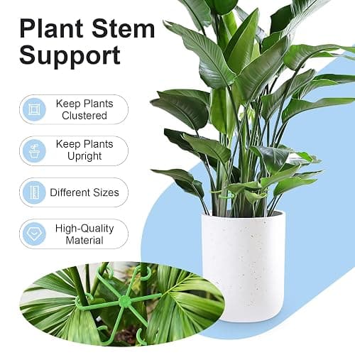 Tokyzexi 20PCS Plant Stem Supports for Monstera, 4 Sizes for Indoor Plants | Monstera Plant Supports for Thriving Growth, Stem Support for Climbing Indoor Plants, Reusable Green Plastic Accessories thumbnail 5