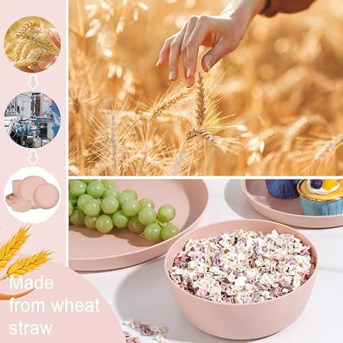 EI 12pcs Pink Wheat Straw Plates,Wheat Straw Dinnerware Set for 4,Plates and Bowls Sets,Plastic Plate Reusable,Unbreakable Plastic Plate Melamine,Camping Family Dishes Set thumbnail 7