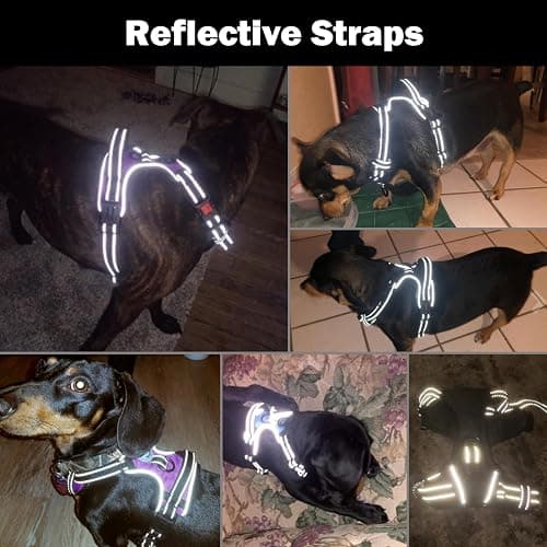 PHOEPET Reflective Dog Harness Large Breed Adjustable No Pull Vest with Handle 2 Metal Rings 3 Buckles [Easy to Put on & Take Off](L, Pink) thumbnail 5