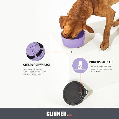 GUNNER lavender travel dog bowl w spill-proof lid thumbnail 4