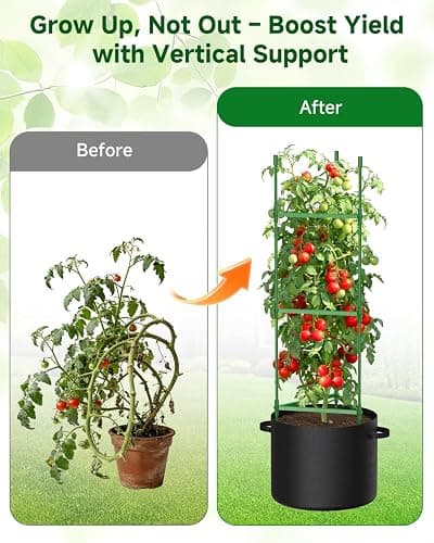 MQJIAZHI 4 Pack Tomato Cages, Triangle Tomato Trellis with 17 Gallon Grow Bags, Tomato Plant Support Stakes for Garden Climbing Vegetables Flowers Fruits thumbnail 5