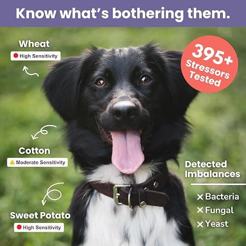 Glacier Peak Holistics, The Original Pet Intolerance Test - Screen for 395+ Food and Environmental Stressors, A Hair and Saliva Kit for Cat and Dog Sensitivities (Results in 7-10 Business Days) thumbnail 3