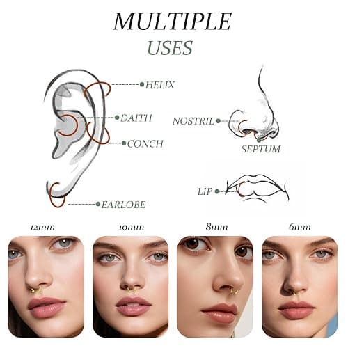 D.Bella 16G 18G 20G Horseshoe Septum Rings Surgical Steel Nose Piercing Jewelry Cartilage Helix Tragus Earring Hoop Eyebrow Lip Retainer for Women Men 6mm 8mm 10mm 12mm thumbnail 5