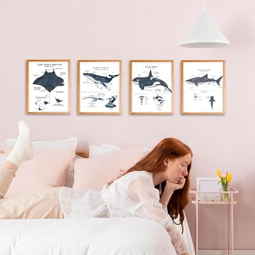 VIIJJUE Whale Shark Decor Wall Art Prints Set of 4, Shark poster, Ocean Beach Room Decor posters, Ocean Marine Life Educational Wall Art for Classroom Bathroom Living Room, 8x10 Inches Unframed thumbnail 4