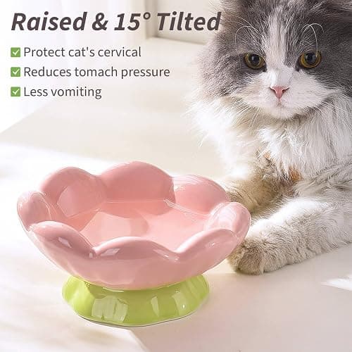 EubooTree Ceramic Raised Cat Bowl, Shallow Wide, Anti-Vomiting and Whisker Fatigue, Non-Slip, Tilted Cute Flower Cat Food and Water Bowls for Indoor Cats or Small Dogs, Pink thumbnail 2