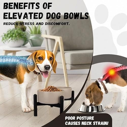 Raised Ceramic Dog Bowl Set - Elevated Double Dishes with Stainless Steel Stand - Food and Water Bowls for Small to Medium Dogs - Each Holds 2 Cups (28.75 fl oz) - Grey thumbnail 5