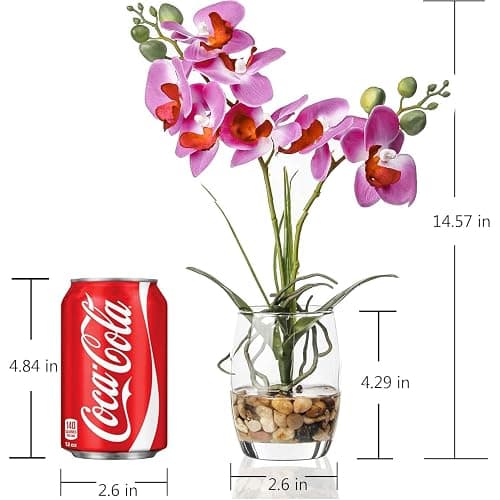 Artificial Purple Orchid in Glass Vase, Lifelike No-Maintenance Decor | Phalaenopsis Arrangement, 14.5 Inch Centerpiece for Home Office Table Decor, Realistic Faux Orchid with Potting thumbnail 3