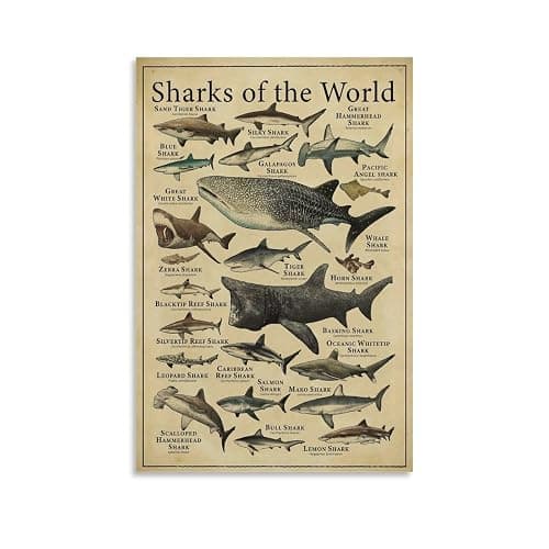 CYPGTBCK Types of Shark Poster Shark Knowledge fishing Education fish Canvas Art Poster And Wall Art Picture Print Modern Family Bedroom Decor Posters 12x18inch(30x45cm) - Image 1
