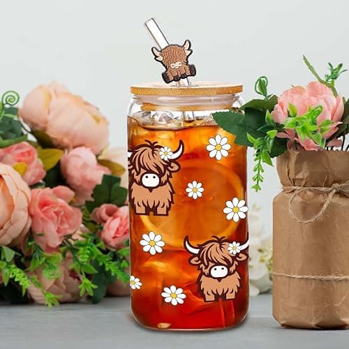 Highland Cows Gifts for Women Highland Cow Lovers Decor Print Stuff Coffee Cup with Cow Straw - Cute Coffee Cups/Tumbler Christmas Birthday Gifts for Women Girls, Glass Cup with Lid and Straw 16oz thumbnail 8