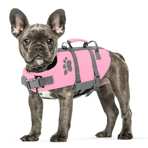 Queenmore Small Dog Life Jacket, Ripstop Dog Life Vest, Small Dog Life Vests for Swimming, Safety Dog Swimming Vest with Handle, Dog Life Vest for Boating with Hook Pet Life Jacket for Swim Water Pool - Image 1