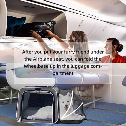 Rolling pet carrier  thumbnail 6
