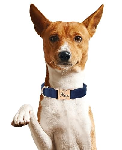 Velvet Harness Set, Gift for Pet Owners, Custom Dog Collar Personalized with Name and Phone Number, Custom Collar and Leash for Dogs, Engraved Metal Buckle Collar (X-Small) thumbnail 2