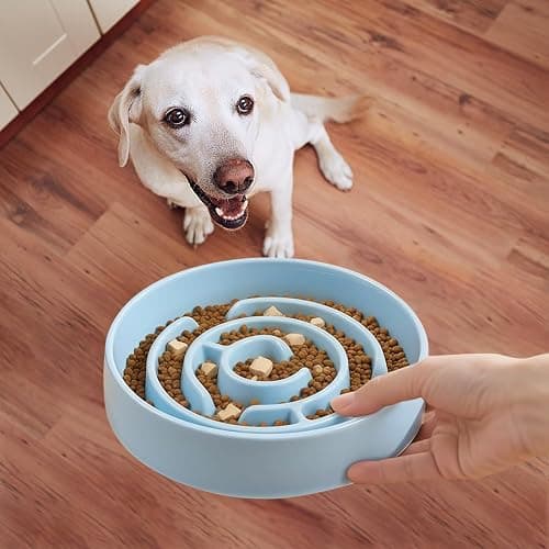 Ceramic Slow Feeder Dog Bowl,1.5 Cups Pet Slow Feeder for Small and Medium Breed,Puzzle Dog Food Dish,Anti-Gulping,Stop Bloat,Preventing Choking(Blue) thumbnail 3