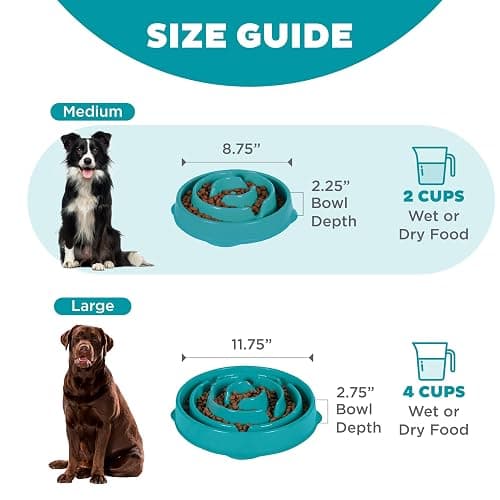 Outward Hound Medium Slow Feeder Bowl, Puzzle Maze for Fast Eaters, Small to Medium Dogs, Helps Prevent Bloat & Aid Digestion, Holds 2 Cups Wet or Dry Food, Non-Slip, Made Without BPA, Turquoise thumbnail 5