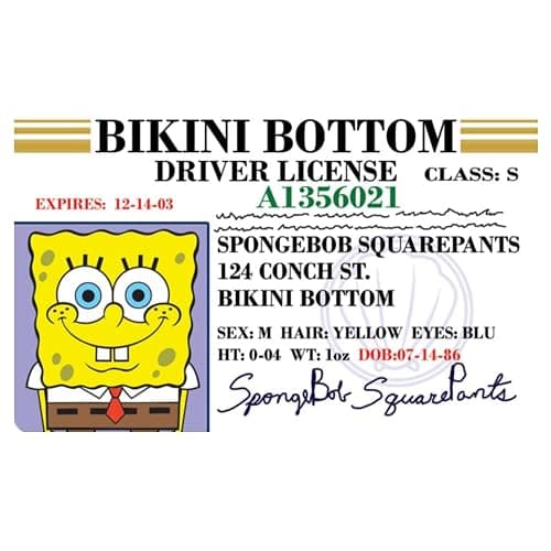 Signs 4 Fun Parody Driver’s License - Spongebob ID - Fake ID Novelty Card - Collectible Trading Card Driver’s License - Novelty Gift for Holidays - Made in the USA - Image 1