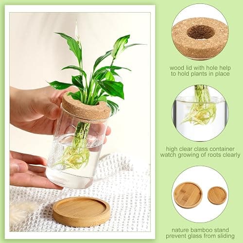 Layhit 4 Pcs Plants Propagation Stations vases Glass Planters with Wooden Lid and Bamboo Stand for Hydroponic Plants Gardening Gifts for Women Mom Home Office Tabletop Decoration(Classic Style) - Classic Style thumbnail 4