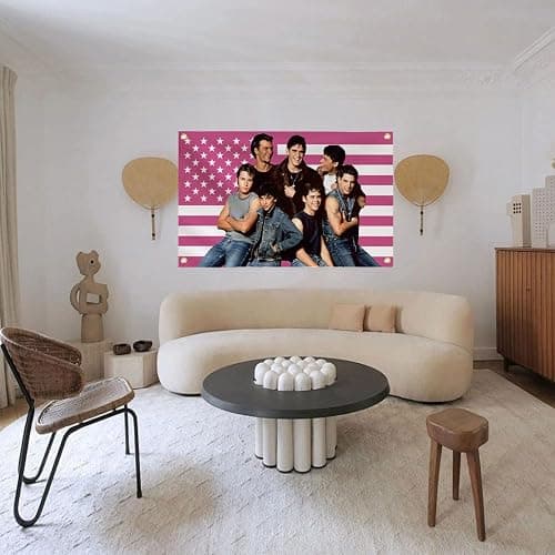 The outsiders Flag,3 x 5FT The outsiders funny tapestry poster merch,As decor for outsider theme party,College Dorm Room Decor,Outdoor Parties,Pink American flag Tapestry with 4 Brass Grommets thumbnail 3