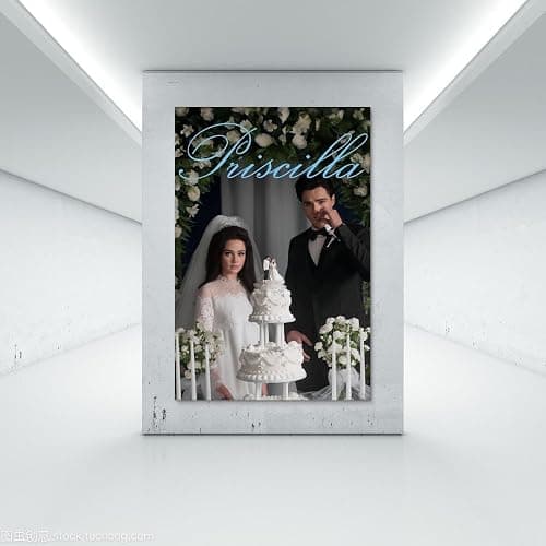 Shuei Priscilla Movie Poster for Bedroom Aesthetic Canvas Art Wall Decor 12x18inch(30x45cm), Unframe-style-4 thumbnail 7