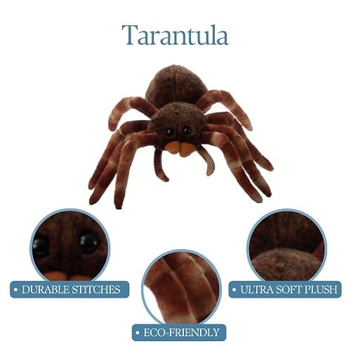 The Petting Zoo Sitting Tarantula Stuffed Animal Plushie, Wild Onez, 12 in | Tarantula Realistic Wildlife Zoo Animals by Zoologee. Great Toys for Girls and Boys. Plush Gifts for Kids thumbnail 8