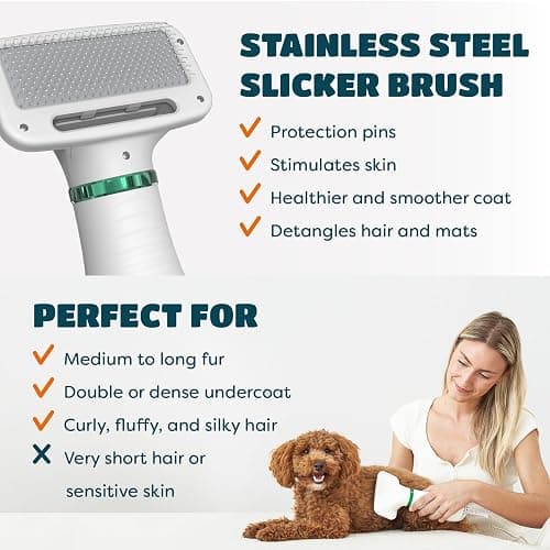 2-in-1 Dog Dryer with Slicker Brush for Small Dogs and Cats, Pet Hair Dryer, Dog Blow Dryer for Grooming with 300 Watts, 75-85 dB, Adjustable Temperature, Overheat Protection thumbnail 4